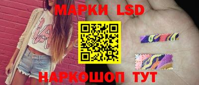 стаф Кунгур