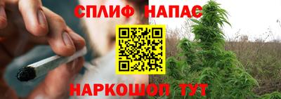 стаф Кунгур