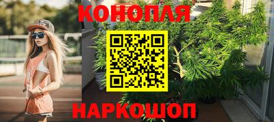 стаф Кунгур