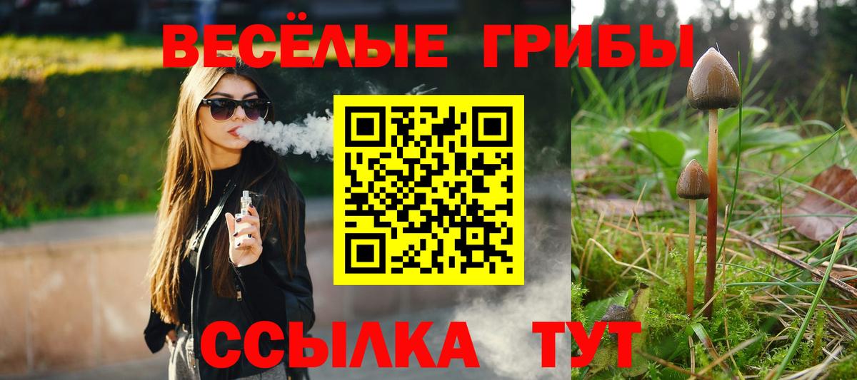 Псилоцибиновые грибы прущие грибы  Вход с VPN  Йошкар-Ола 